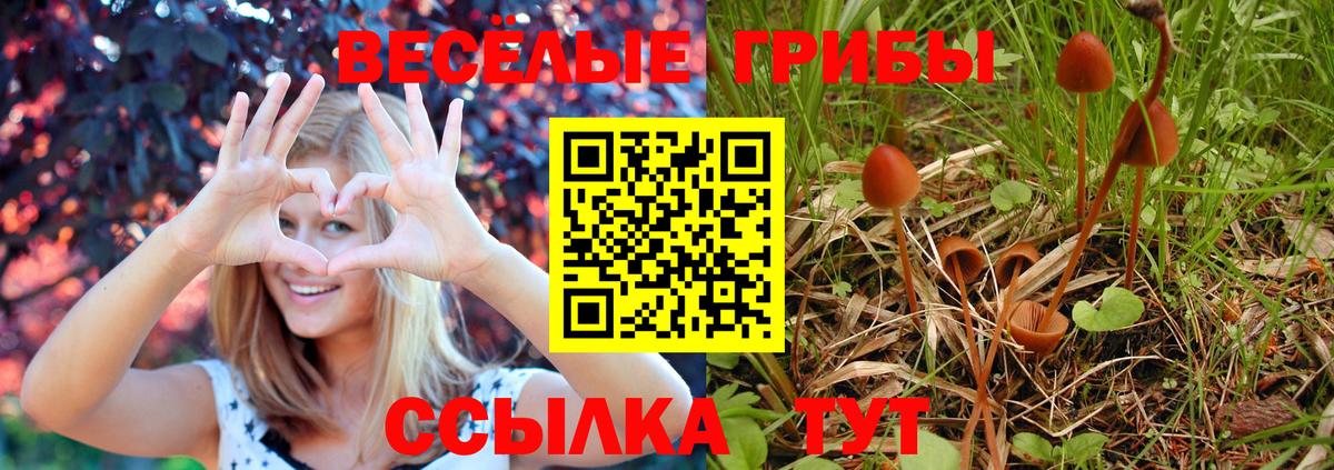 Евпатория  Псилоцибиновые грибы мицелий  Вход с VPN 